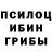 Псилоцибиновые грибы прущие грибы Olesya Sokolova