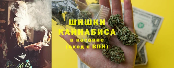 тгк Бронницы