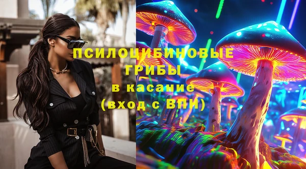 прущая мука Бородино