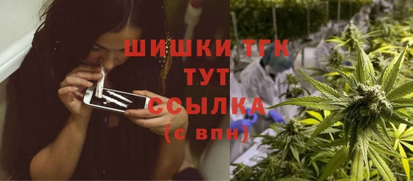 тгк Бронницы