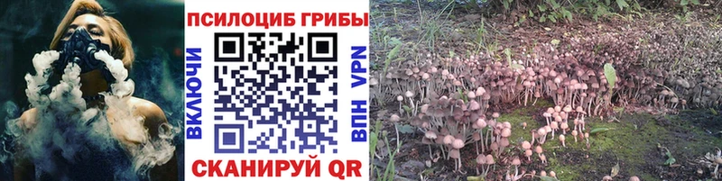 дарк нет какой сайт  Шумерля  Псилоцибиновые грибы Magic Shrooms 